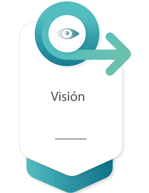 Visión